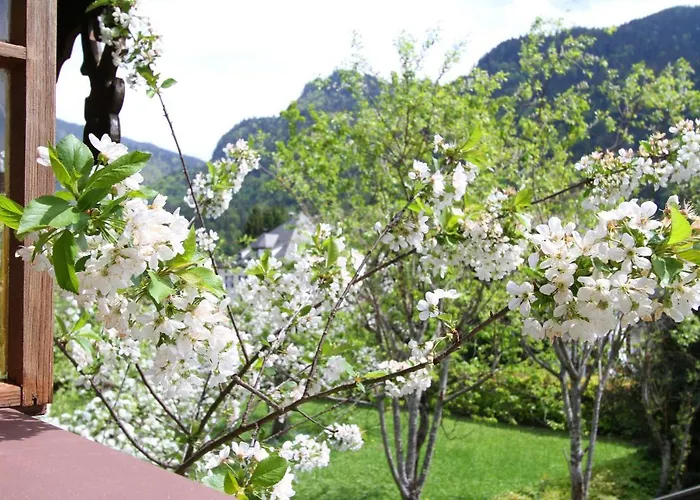 Haus Jennerwein * Sachrang